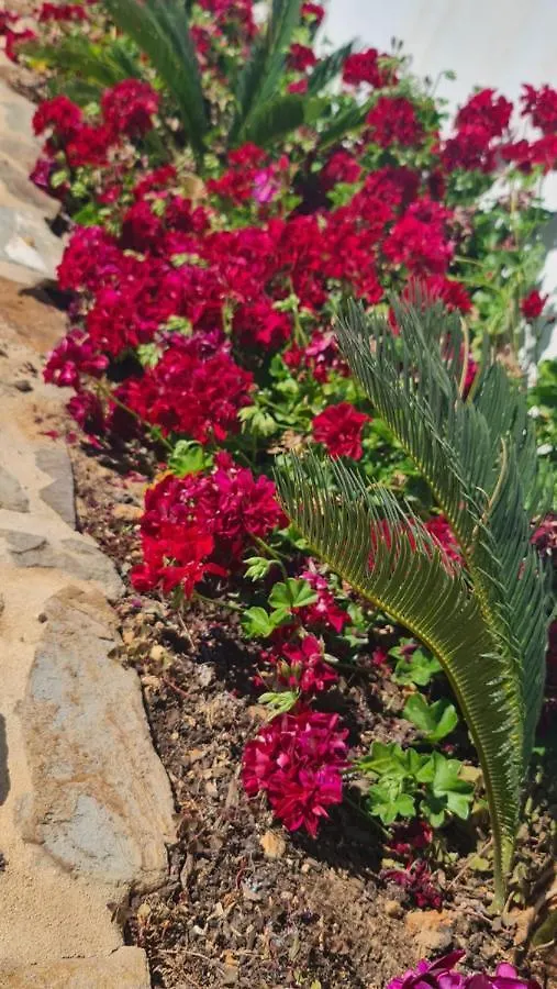 Quinta Do Silencio Villa Tavira Portugal